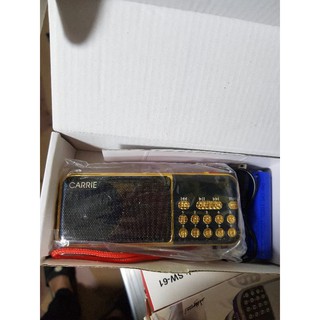 Đài radio fm, thẻ nhớ usb ca-100