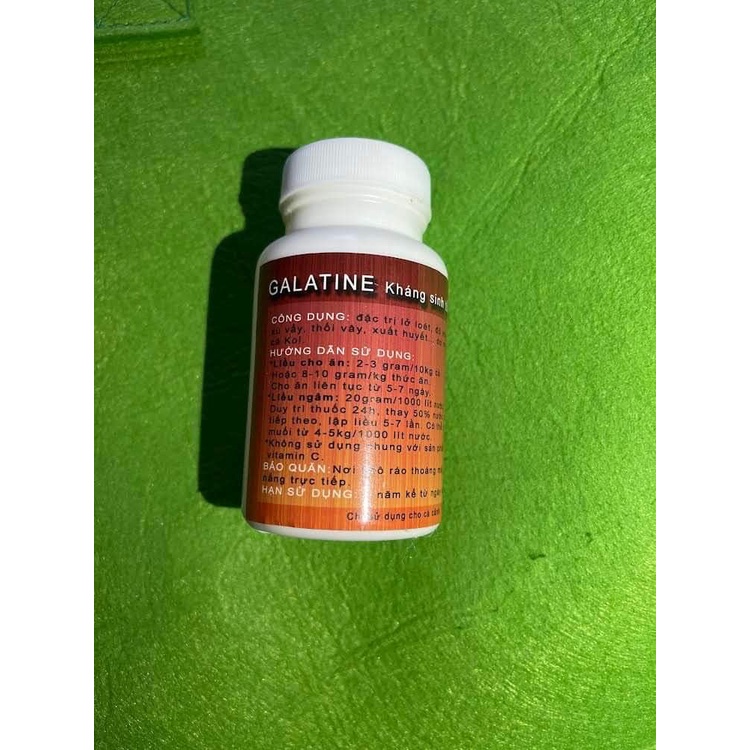 GALATINE đặc trị lỡ loét, đỏ mình cho cá koi.