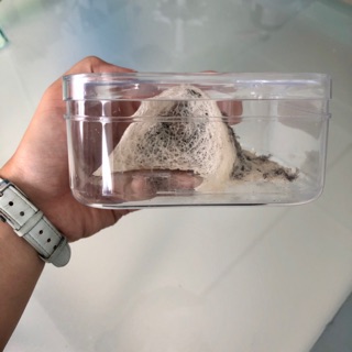 10gr yến thô