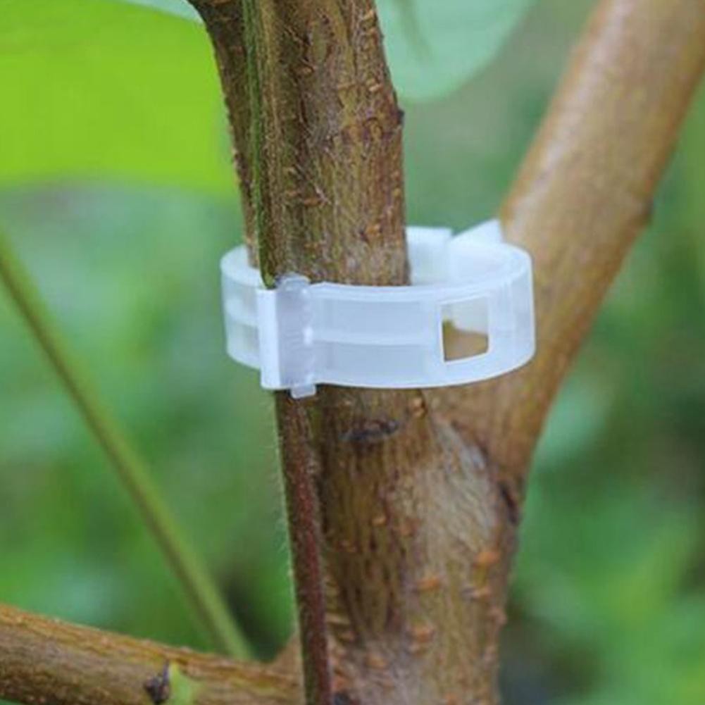 1 Móc Kẹp Treo Cây Cảnh Tiện Dụng Cho Nhà Kính