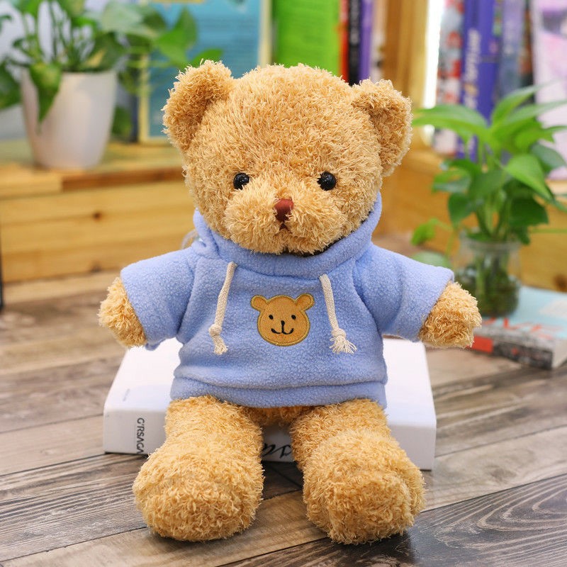 Gấu Teddy Mặc Áo Hoodie Dễ Thương Cao Cấp Gấu Bông City