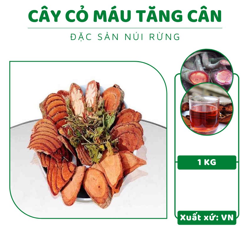 Cây cỏ máu ⚡ GIÁ TỐT ⚡ cây cỏ máu hỗ trợ tăng cân hiệu quả, giảm chứng mất ngủ, làm đẹp da - 1kg