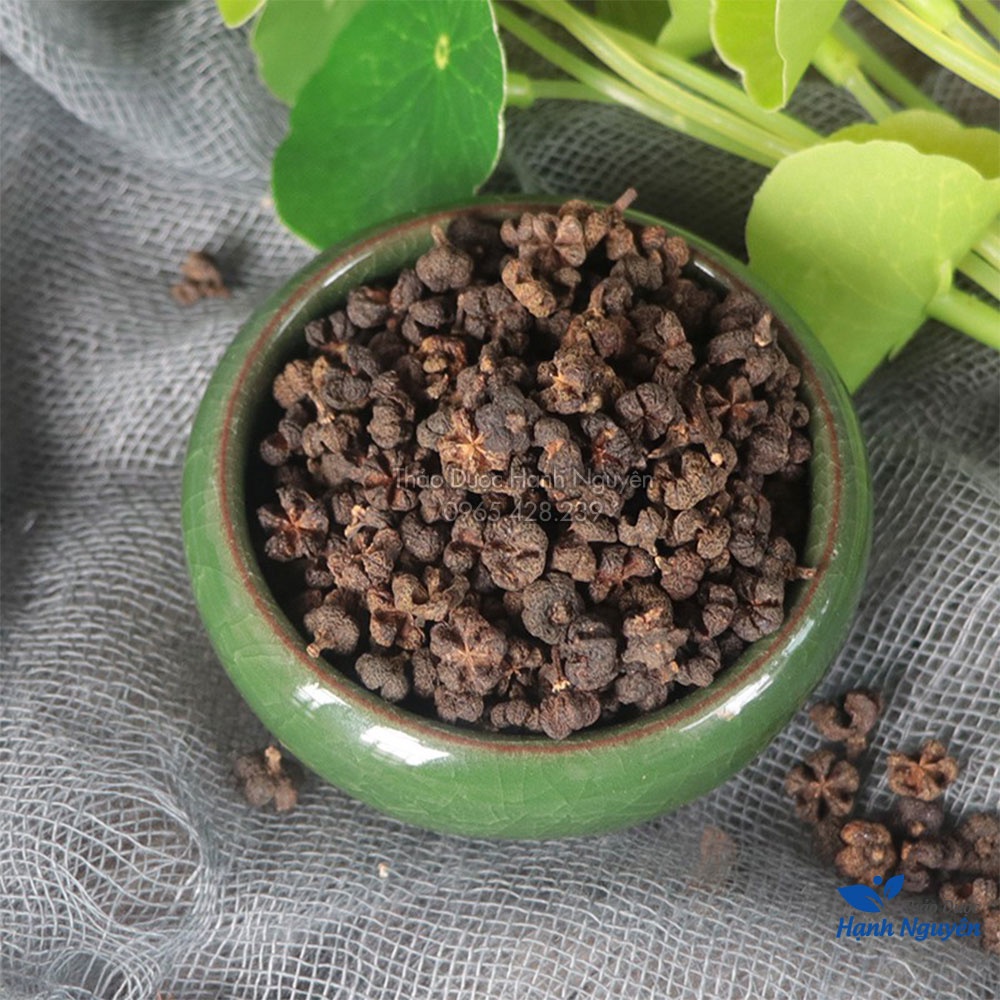 Ngô thù du 500g (Khô, sạch đẹp, tốt cho hệ tiêu hóa và sức khỏe răng miệng) - Thảo Dược Hạnh Nguyên
