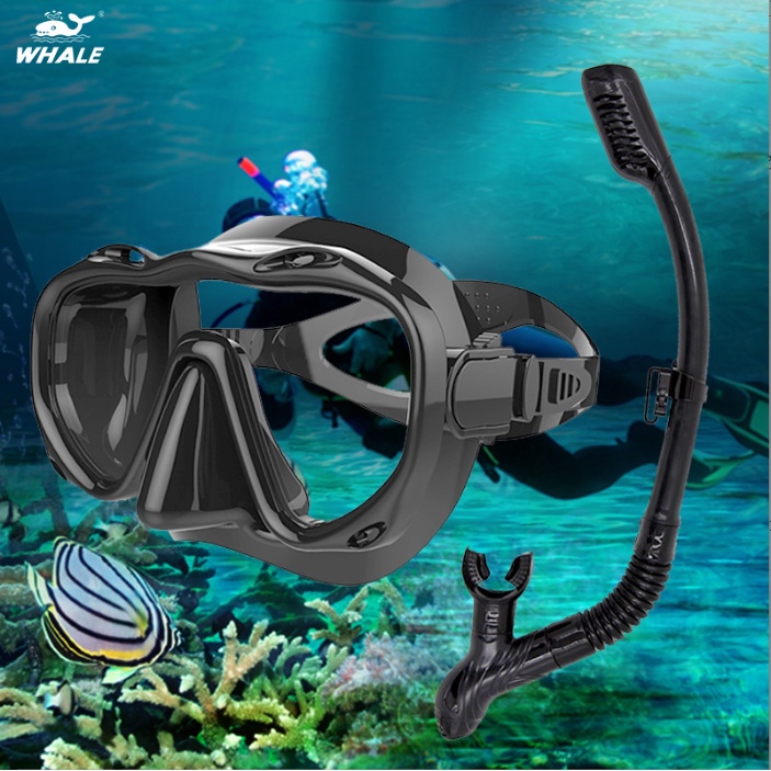 WHALE Bộ đồ bơi lặn chuyên nghiệp Lặn biển có bình dưỡng khí Kính lặn và bộ ống thở