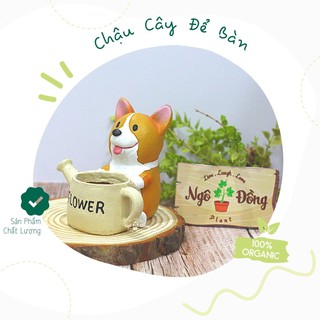 [Cam Kết Chất Lượng] Chậu Cây Nhựa Hình Chú Chó Corgi Ôm Bình Tưới Nước, Trồng Cây Trong Nhà, Đựng Đồ Văn Phòng Đa Năng
