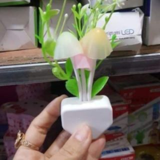 Đèn Ngủ Cảm Ứng