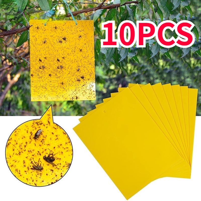 Bộ 10 Bẫy Dính Ruồi / Côn Trùng Hai Mặt Màu Vàng Mới Dùng Trong Nhà / Ngoài Trời