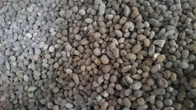 Phân dê đã xử lý vi sinh