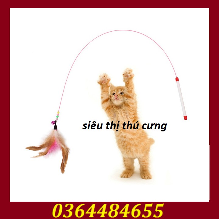 COMBO 2 CẦN CÂU ĐỒ CHƠI CHO MÈO-CẦN CÂU MÈO-CẦN CÂU ĐỒ CHƠI CHO THÚ CƯNG GIÁ RẺ