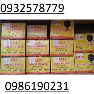Đổi Nguồn LIOA 600VA (vào 220V ra 100V đến 120V)