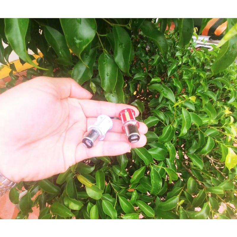 1 BÓNG HẬU CHỚP NHÁY CHẠY AUDI 2IN1 SÁNG MÀU CỰC ĐẸP LẮP XE MÁY XE HƠI ÔTÔ MẪU MỚI HÀNG CHẤT LƯỢNG