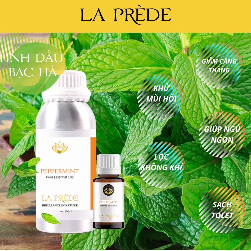 Tinh dầu Cao Cấp Bạc hà - Made in India - 15ml