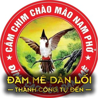 Cám Chim Nam Phở, Chim Bền, Căng Lửa