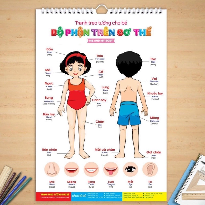 BỘ TRANH TREO TƯỜNG 14 CHỦ ĐỀ CHO BÉ