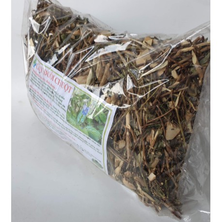 1kg cây đuôi chuột (cây mạch lạc) điều trị tiểu đường, ho, viêm tiết niệu