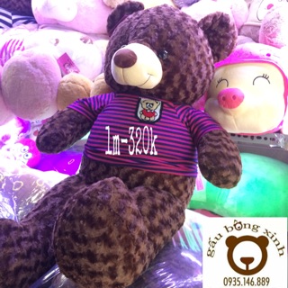 Gấu bông Teddy khổ 1m2