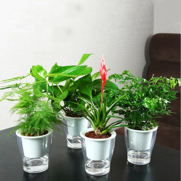 Chậu 2 lớp trồng Hoa Cây cảnh để bàn W05, Bể 2 đáy chứa nước nuôi cá, Cốc trồng cây tự hút nước