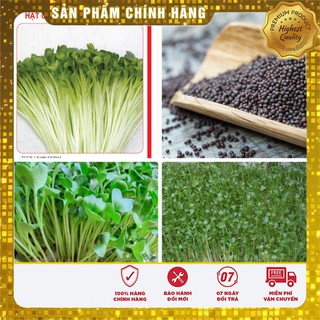 Hạt Giống Mầm Cải Ngọt