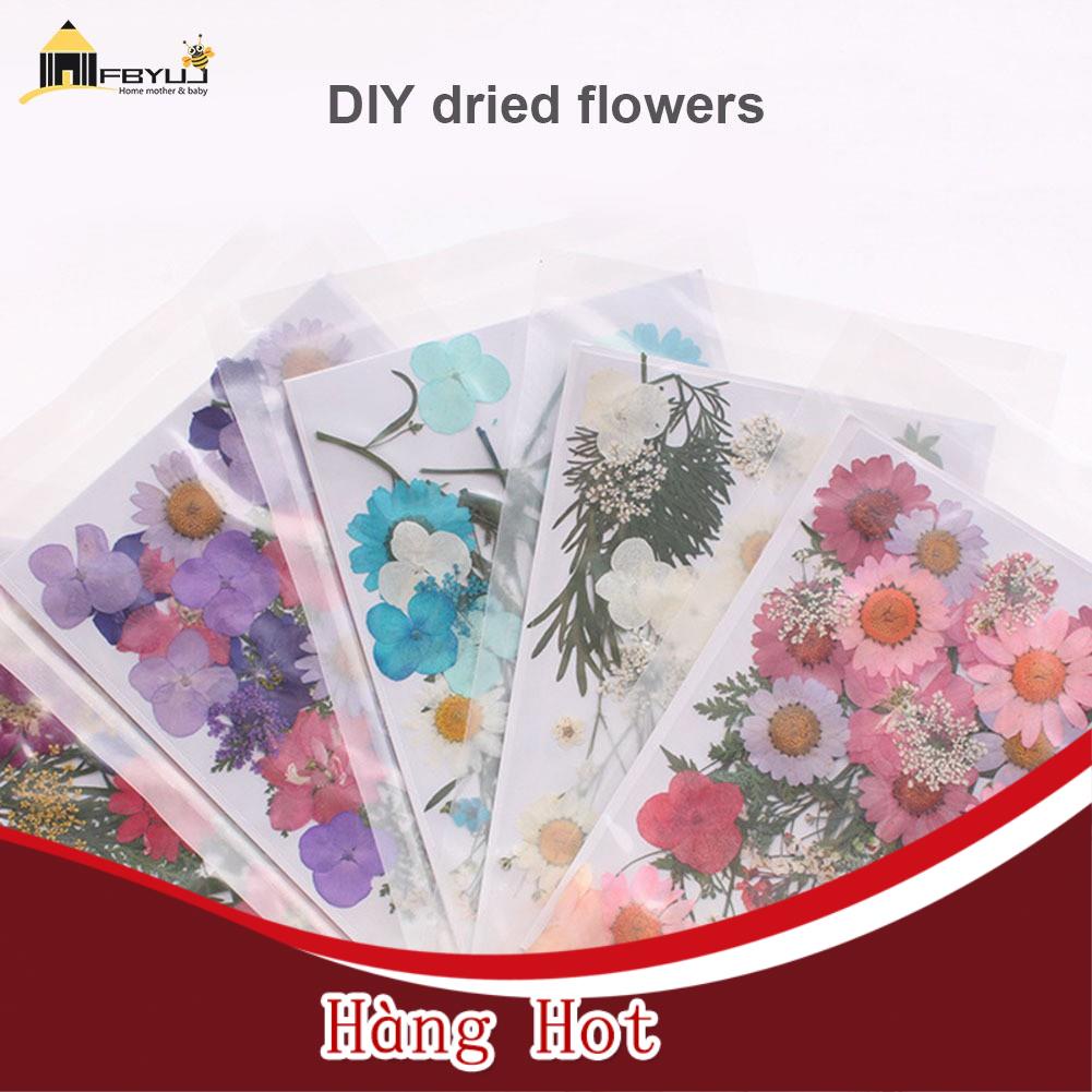 (Mới) Hoa khô hỗn hợp tự ép chuyên dụng cho trang trí thủ công