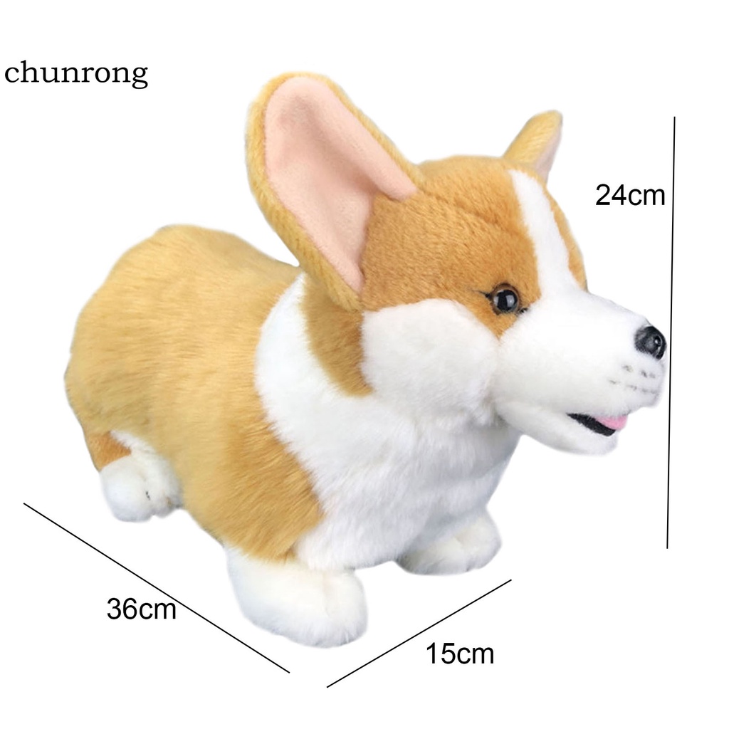 Thú nhồi bông hình chú chó corgi đáng yêu