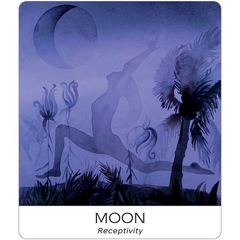 Bộ Bài Nature and Soul Yoga Wisdom Cards (Mystic House Tarot Shop) - Bài Gốc Authentic Chính Hãng 100%
