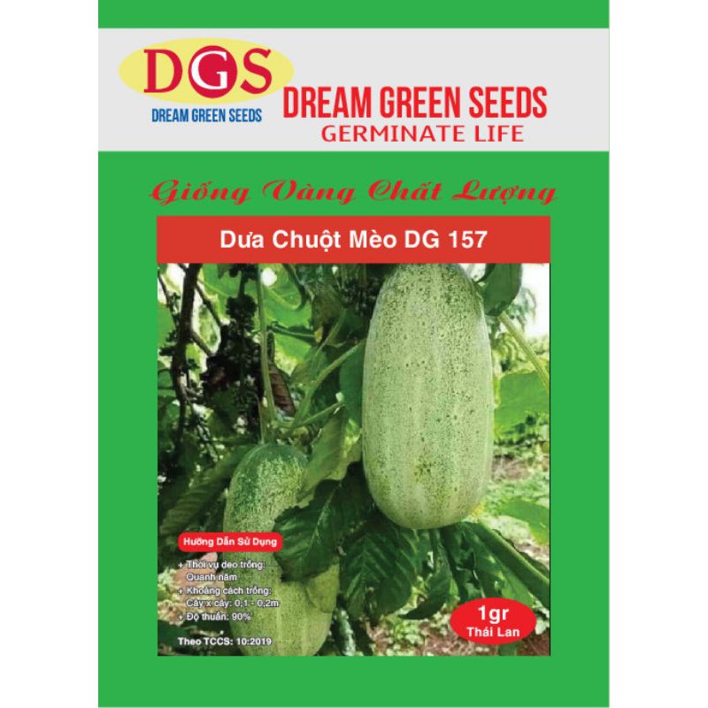 sỉ hạt giống dưa chuột mèo