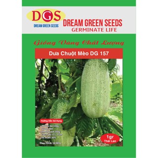 sỉ hạt giống dưa chuột mèo