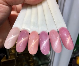 Sét sơn gel làm mắt mèo
