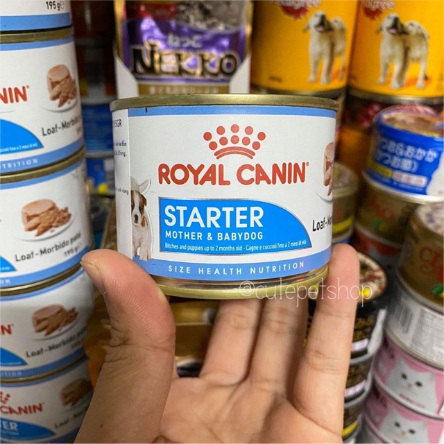 PATE ROYAL CANIN STARTER MOUSSE CHO CHÓ MẸ MANG THAI VÀ CHÓ CON