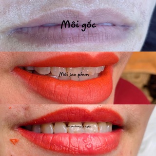 MỰC MỸ BONG ĐẬM HOA TÍT PHUN XĂM
