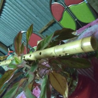 Sáo dọc  tone c5, G4, Bb..(trúc Bắc Ninh)