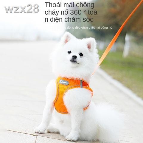 Dây xích cho chó kiểu vest, nhỏ, đeo ngực, con, dắt đi dạo, Teddy, Bichon, Pomeranian