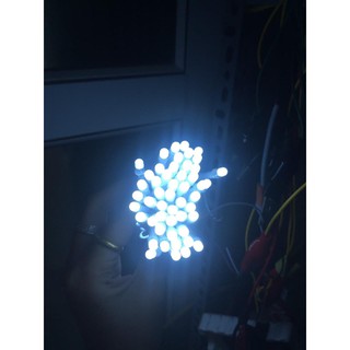 LED RUỒI JIYI 5MM 12V (BÓ 100 BÓNG)