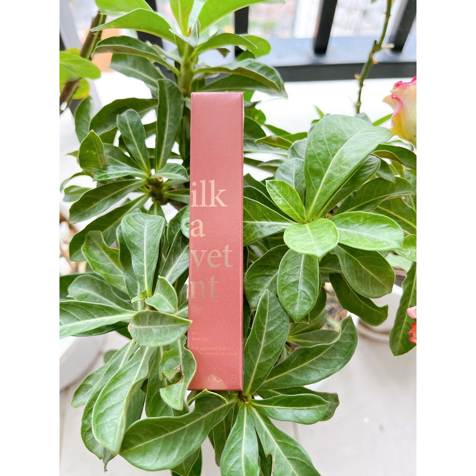Son Kem Lì Hàn Quốc Mịn Mượt Romand Milk Tea Velvet Tint Ver 2 4.4g