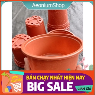 Combo 5 Chậu Nhựa Trồng Cây Xương Rồng, Sen Đá 😌