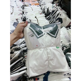 Polo cá sấu cổ xanh