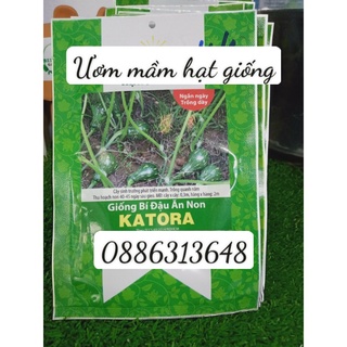 Hạt Giống bí đậu ăn non Katora (10 hạt)