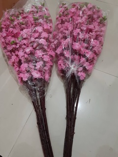100 cành anh đào loại 1