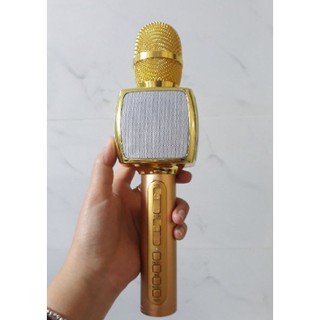 Mic Hát Kèm Loa SD-10 XỊN