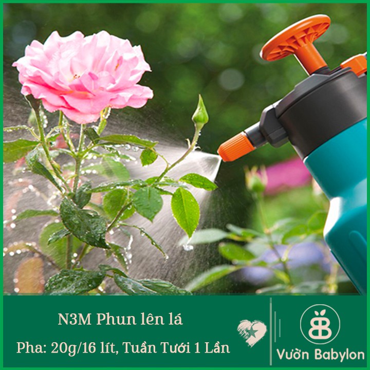 Thuốc Kích Rễ N3M 100Gr Kích Rễ, Bón Lá