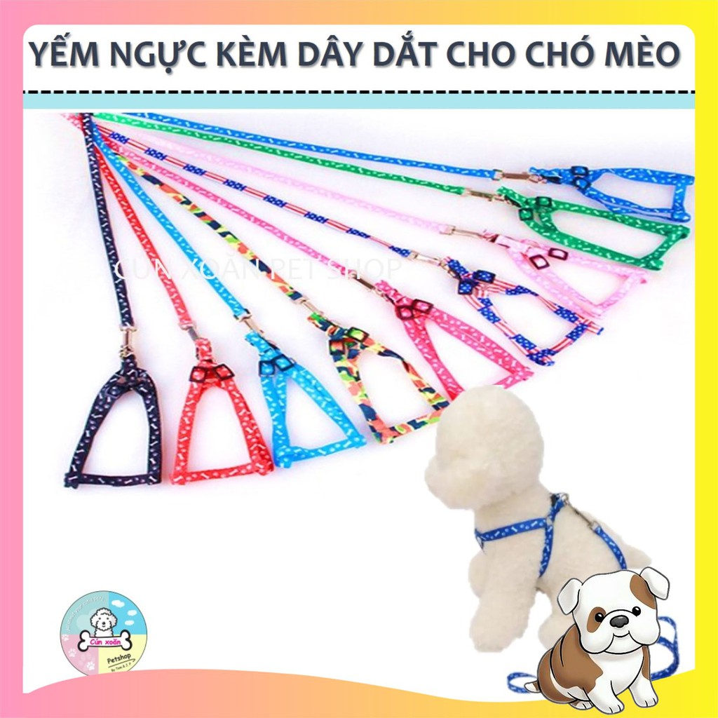 Vòng cổ yếm kèm dây cho chó mèo (Ngực 22-38cm)