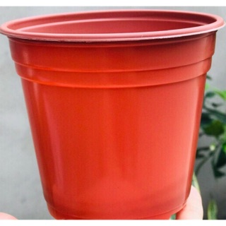 Chậu nhựa nâu n23