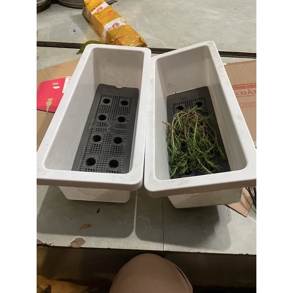Chậu máng dài nhựa 48x20x16 cm trồng rau thông minh