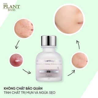 PHẤN LỎNG DƯỠNG DA DẦU, HỖ TRỢ GIẢM THÂM MỤN THE PLANT BASE