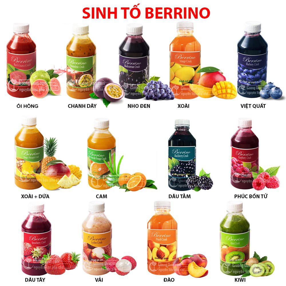 Sinh tố hoa quả Berrino đủ hương chai 1Lit giữ nguyên hương vị trái cây tươi