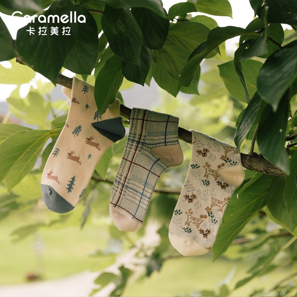 Set 3 đôi tất cổ cao Bivota vớ nữ cotton thu đông họa tiết siêu xinh T103