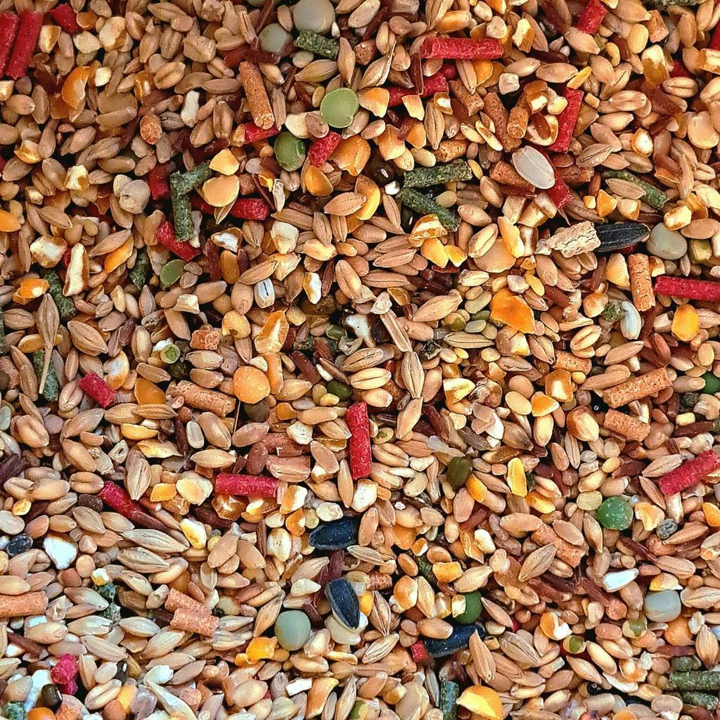 Ngũ cốc gà đá gà nòi, thức ăn gà nòi gà che túi loại 1kg giúp tăng cơ tăng bo nha cho gà