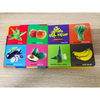 Sách - 101 First Words - Plants (101 Từ Đầu Tiên - Thực Vật - Song Ngữ Anh Việt)