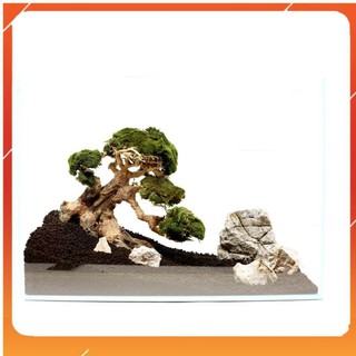 [Siêu Rẻ] Lũa Bonsai mini cho bể cá thủy sinh [TS Online37]