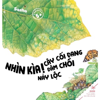 Sách - Nhìn Kìa! Cây Cối Đang Đâm Chồi Nảy Lộc